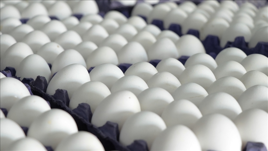 Rusya, Türkiye’den 38,2 milyon adet yumurta ithal etti